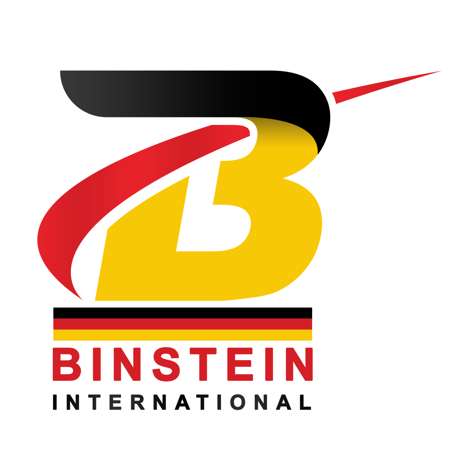 BINSTEIN 01